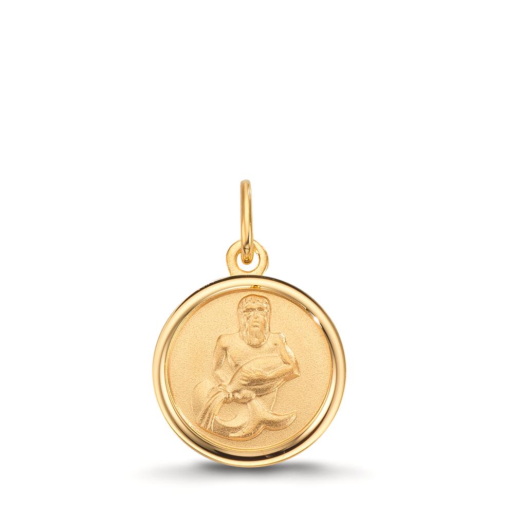 Gravuranhänger 375/9 K Gelbgold Sternzeichen Wassermann Ø12 mm