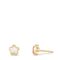 Ohrstecker 750/18 K Gelbgold Perlmutt Blume Ø4 mm