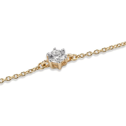 613911_a